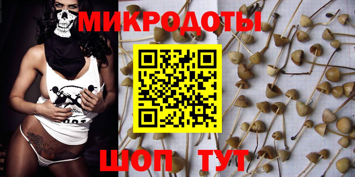 Янаул  Галлюциногенные грибы GOLDEN TEACHER  Вход с VPN 